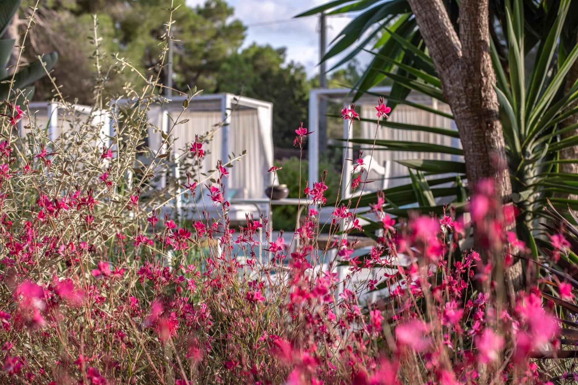 Boutique Casa Caracol - In Strandnaehe, Salzwasserpool, Fotovoltaik, Adults Only Appartement *
